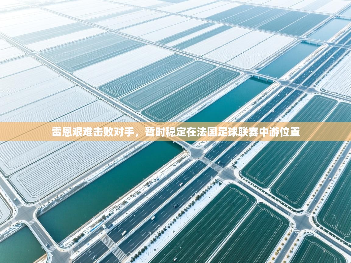 雷恩艰难击败对手，暂时稳定在法国足球联赛中游位置  第2张